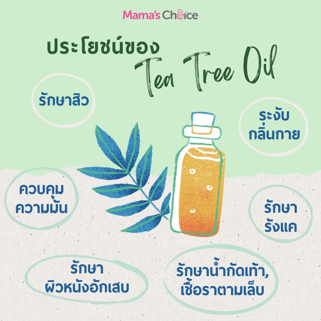 tea tree oil ทีทรีออยล์ Melaleuca Alternifolia น้ำมันทีทรี